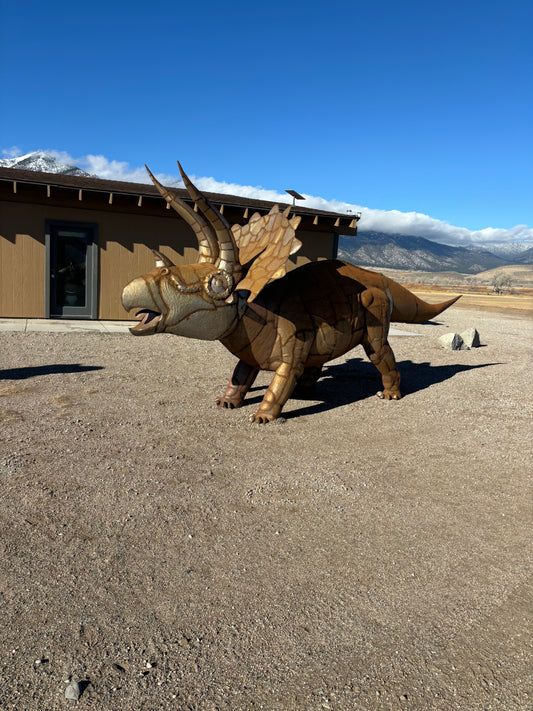 Triceratops