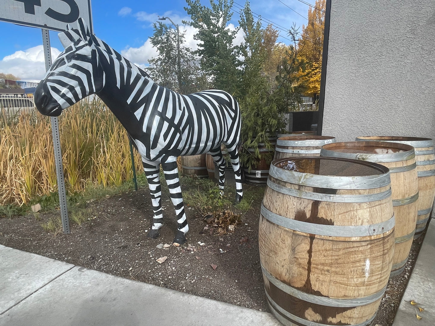 Zebra Aluminum Cast