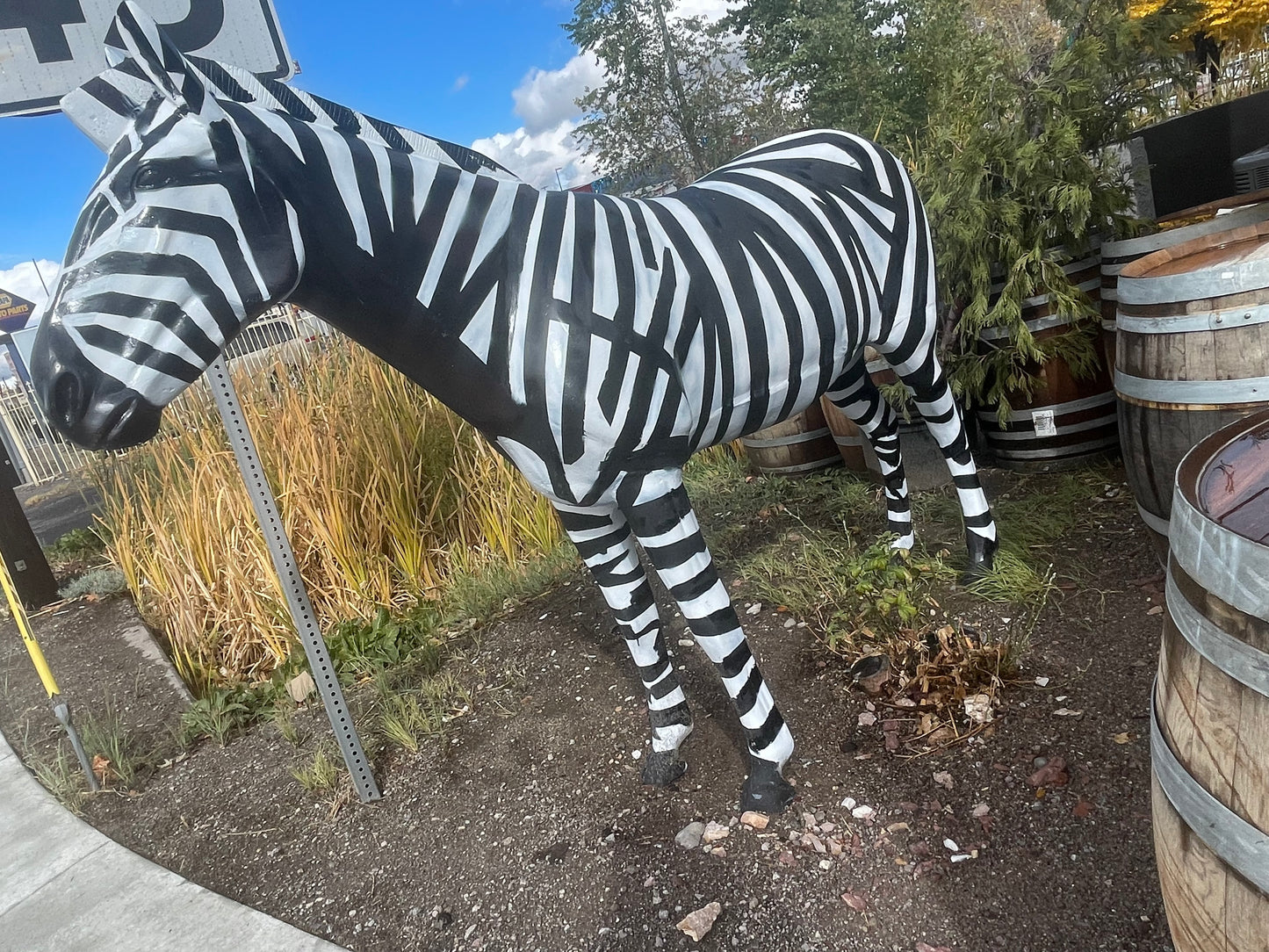 Zebra Aluminum Cast