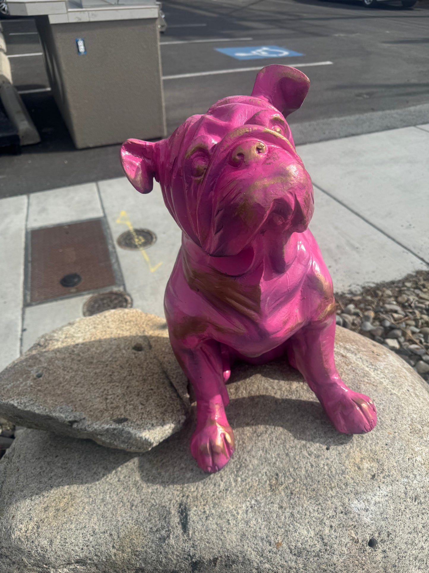 BULL DOG