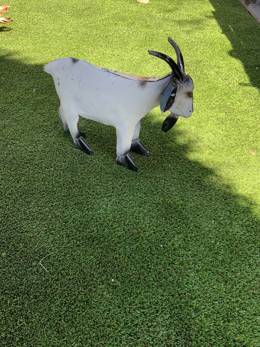 Small Goat