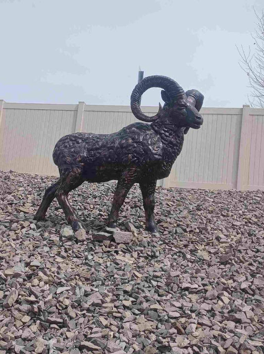 Large Mountain Ram Aluminum