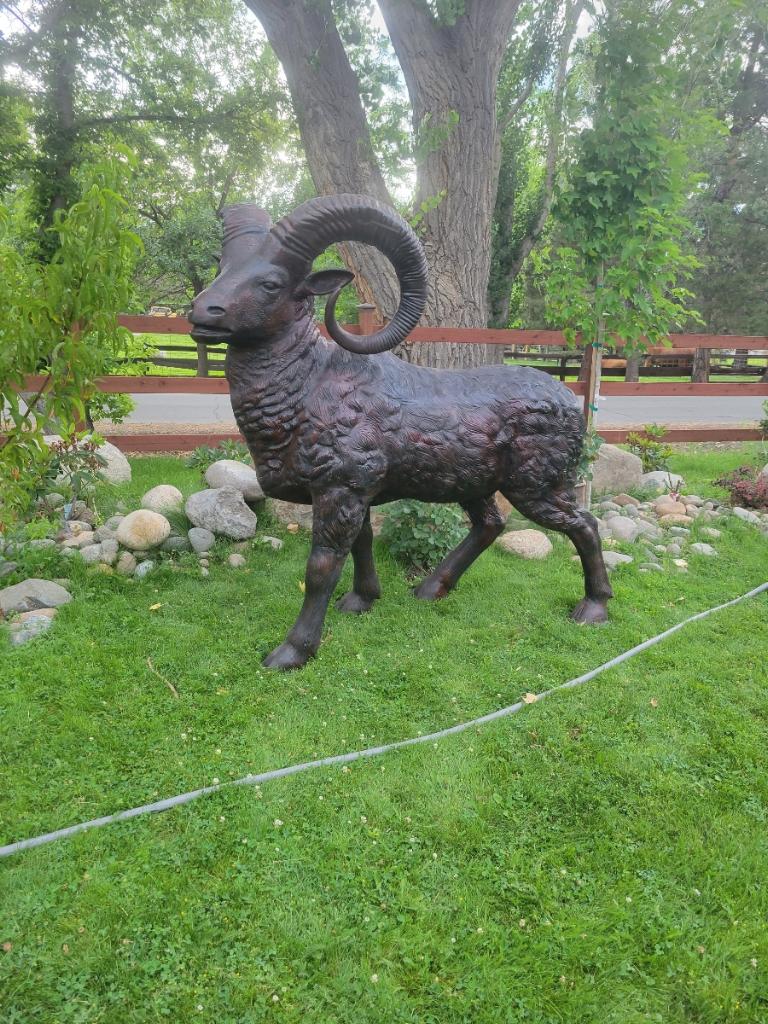 Large Mountain Ram Aluminum