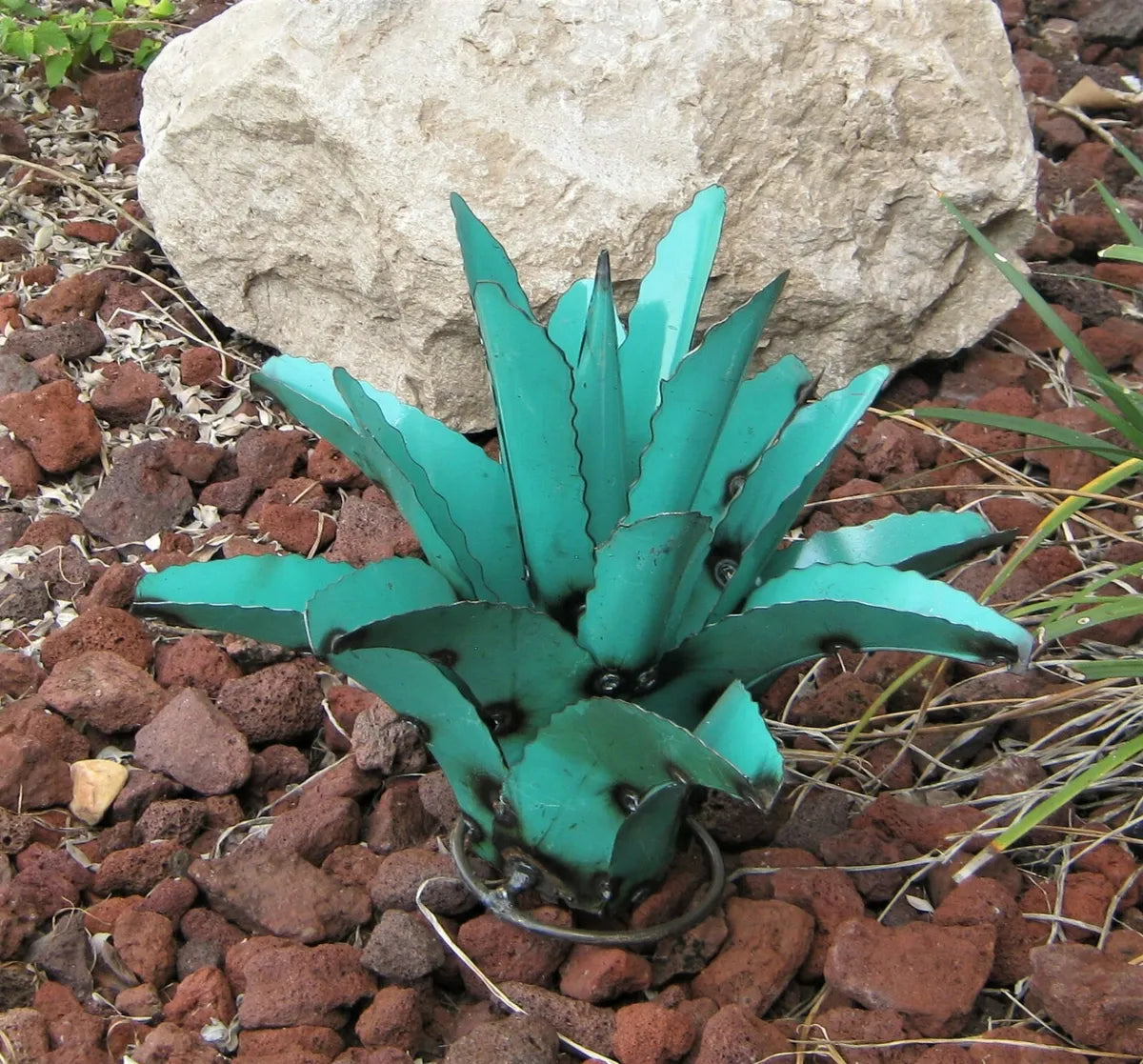 Small Agave in Aqua